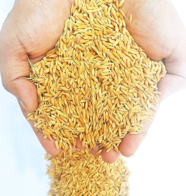 81Wt0tYgdvL._AC_UF1000,1000_QL80_